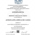 Ampliar imagen: certificate 6