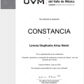 Ampliar imagen: certificate 3