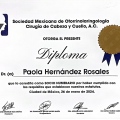 Ampliar imagen: certificate 2