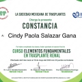 Ampliar imagen: certificate 4