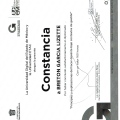 Ampliar imagen: certificate 16
