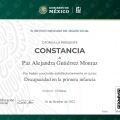 Ampliar imagen: certificate 25