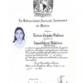 Ampliar imagen: certificate 2