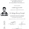 Ampliar imagen: certificate 4