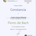 Ampliar imagen: certificate 8