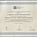 Ampliar imagen: certificate 3