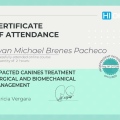 Ampliar imagen: certificate 3