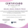Ampliar imagen: certificate 2