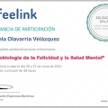 Ampliar imagen: certificate 4