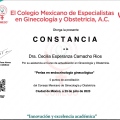 Ampliar imagen: certificate 11