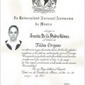 Ampliar imagen: certificate 3