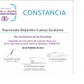 Ampliar imagen: certificate 21