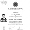 Ampliar imagen: certificate 3