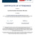 Ampliar imagen: certificate 2