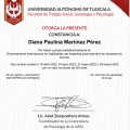 Ampliar imagen: certificate 3
