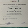 Ampliar imagen: certificate 3
