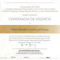 Ampliar imagen: certificate 3