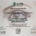 Ampliar imagen: certificate 11