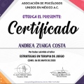 Ampliar imagen: certificate 8