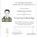 Ampliar imagen: certificate 1