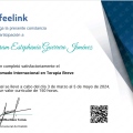 Ampliar imagen: certificate 6