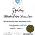 Ampliar imagen: certificate 6