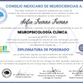 Ampliar imagen: certificate 2
