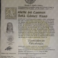 Ampliar imagen: certificate 5
