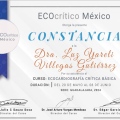 Ampliar imagen: certificate 5