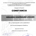Ampliar imagen: certificate 9