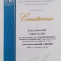 Ampliar imagen: certificate 7