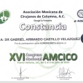 Ampliar imagen: certificate 13
