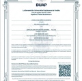 Ampliar imagen: certificate 2