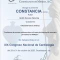 Ampliar imagen: certificate 19
