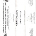 Ampliar imagen: certificate 24