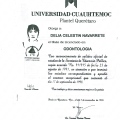 Ampliar imagen: certificate 1
