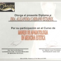 Ampliar imagen: certificate 9