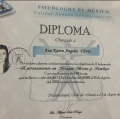 Ampliar imagen: certificate 6
