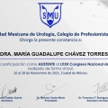 Ampliar imagen: certificate 12