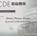 Ampliar imagen: certificate 14