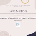 Ampliar imagen: certificate 2