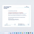 Ampliar imagen: certificate 4