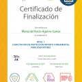 Ampliar imagen: certificate 2
