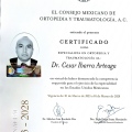 Ampliar imagen: certificate 1