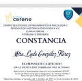 Ampliar imagen: certificate 12