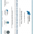 Ampliar imagen: certificate 3