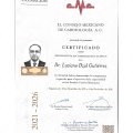 Ampliar imagen: certificate 1