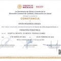 Ampliar imagen: certificate 5