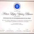 Ampliar imagen: certificate 7