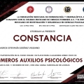 Ampliar imagen: certificate 3